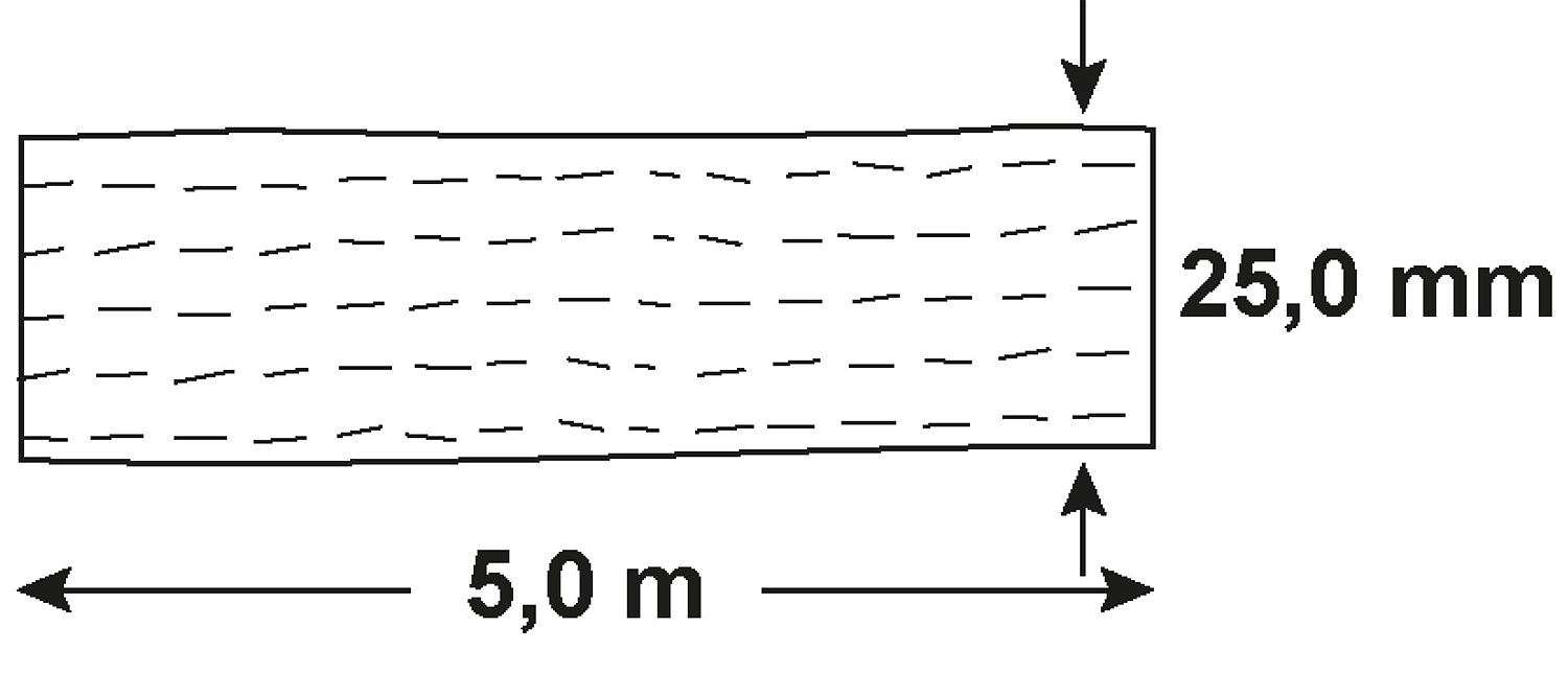 Connex Zurrgurt zweiteilig mit Spannratsche und Spitzhaken 5 m×25 mm |  305044