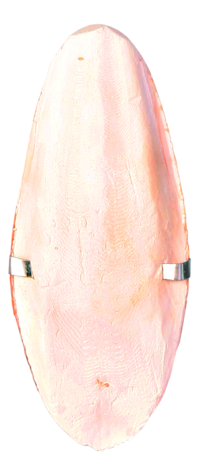 Trixie Sepia-Schale mit Halter, 12 cm klein