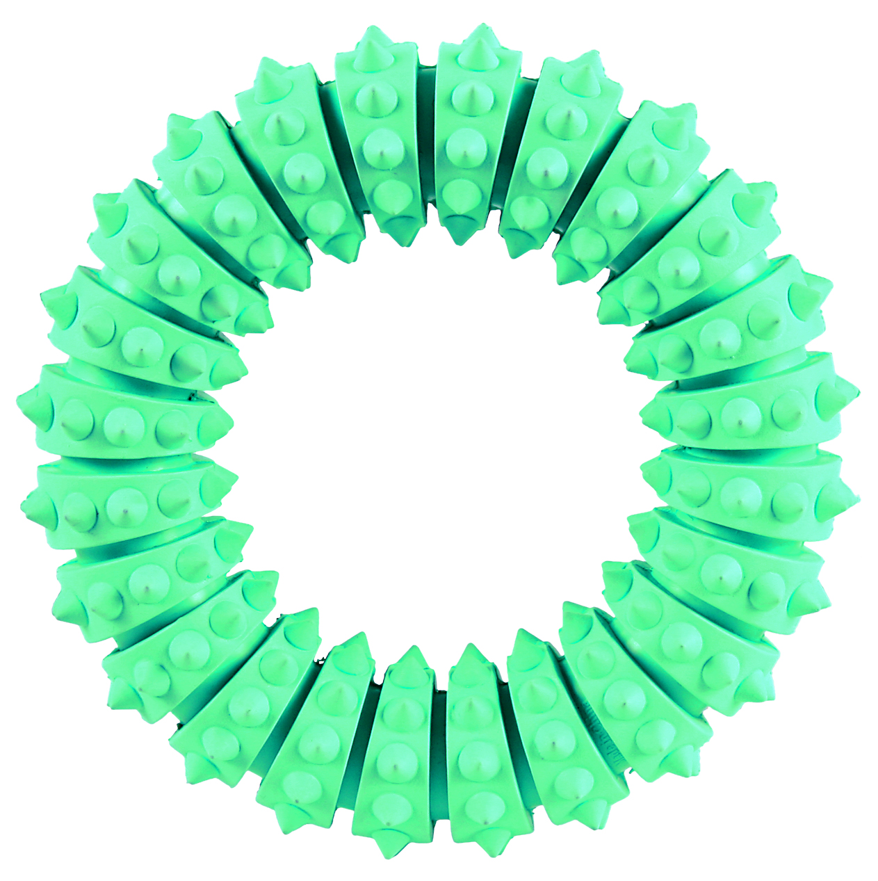Trixie Denta Fun Ring, Minzgeschmack ø 12 cm