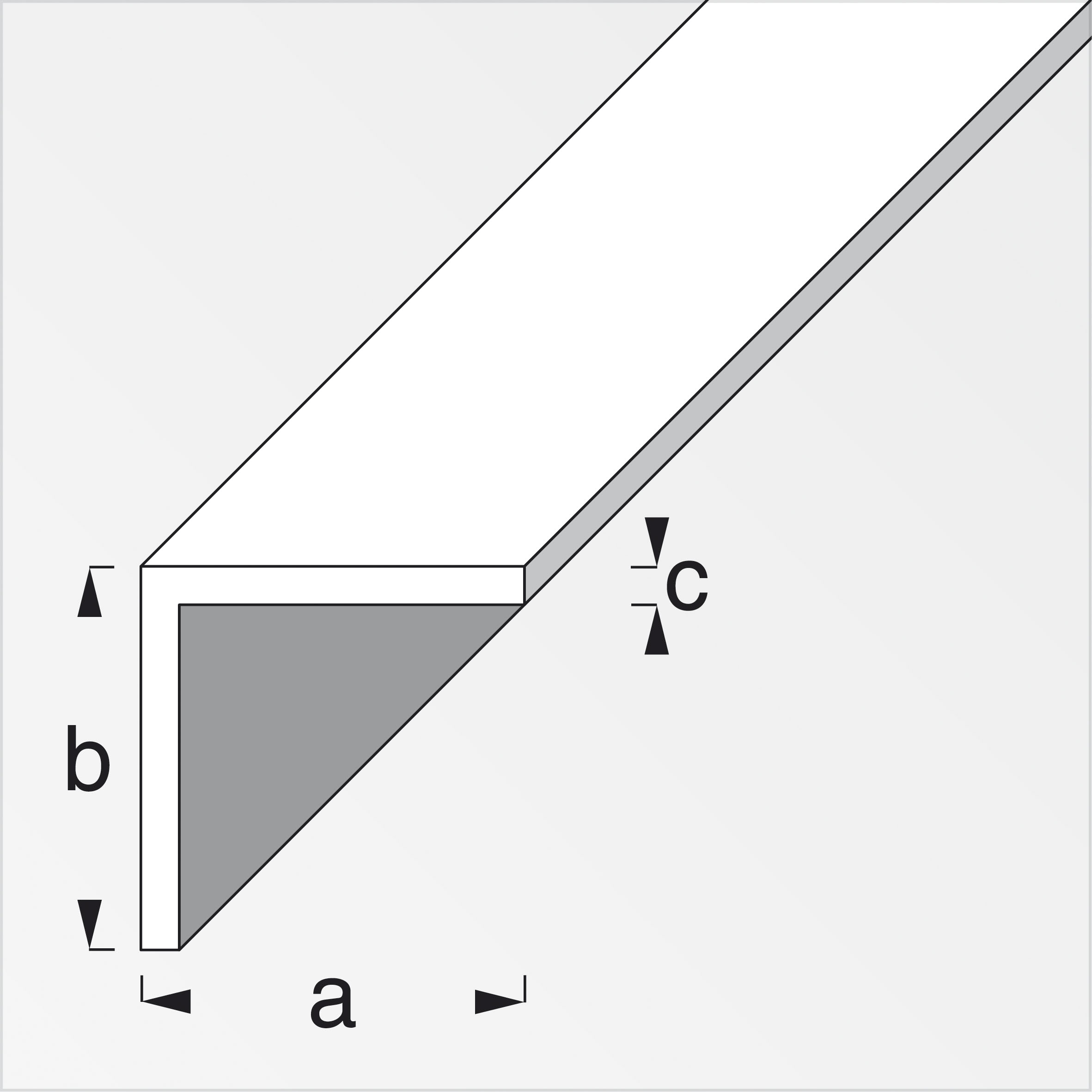 alfer® Winkel gleichschenklig, Alu eloxiert, Silber 2 m, 40 × 40 × 2 mm