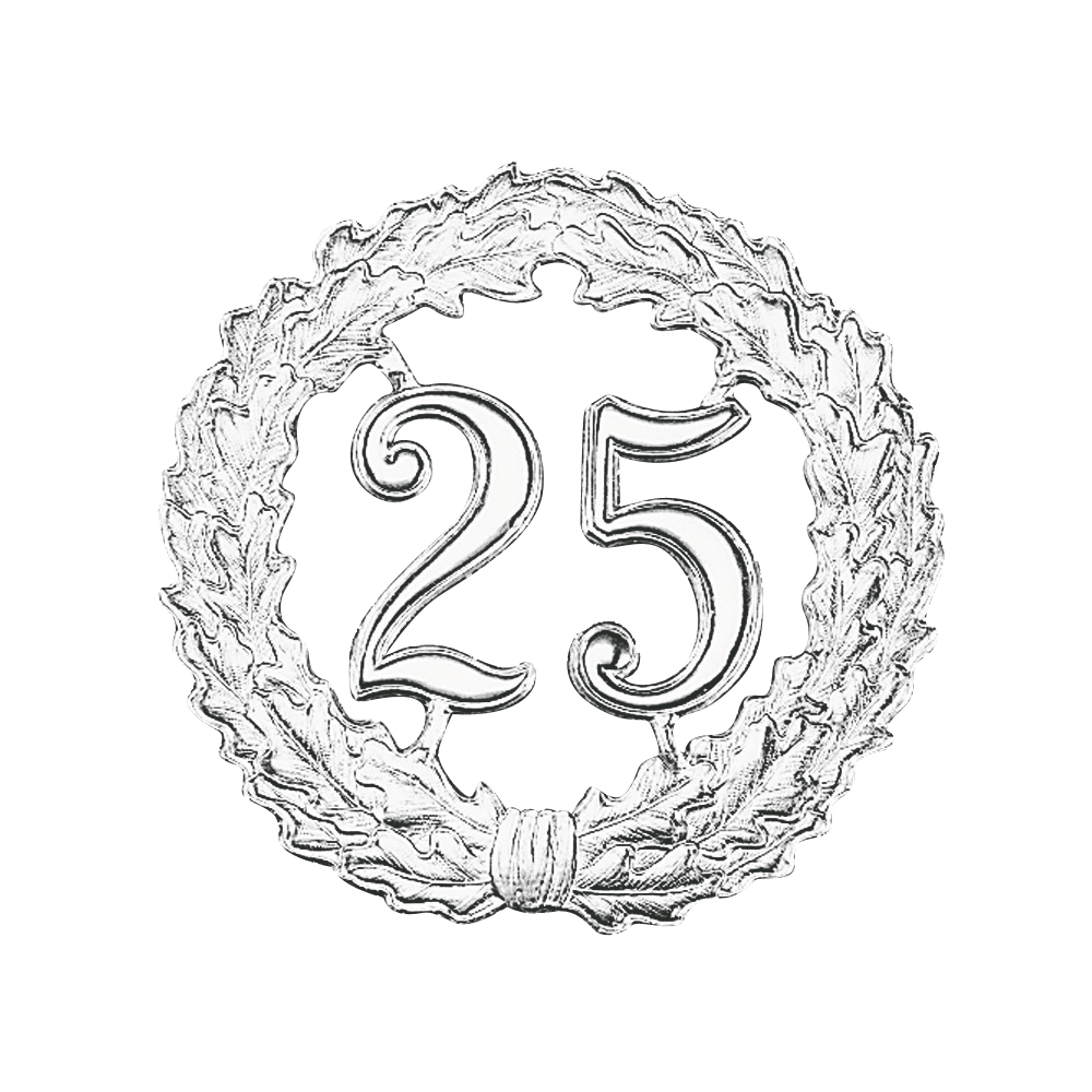 Rayher® Zahlenkranz "25" Ø 18 cm Silber