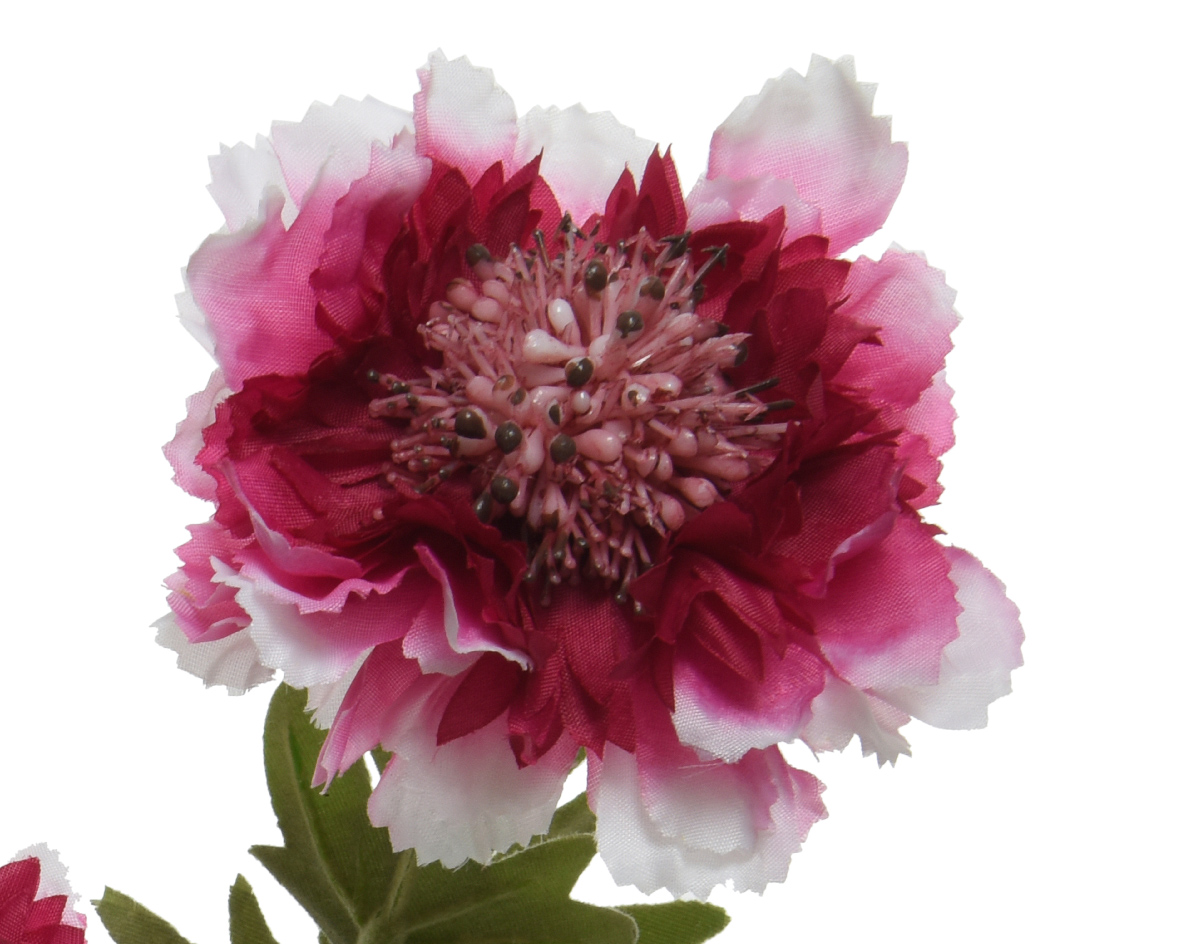 Kaemingk Kunstblume Scabiosa am Stiel Fuchsia 72 cm