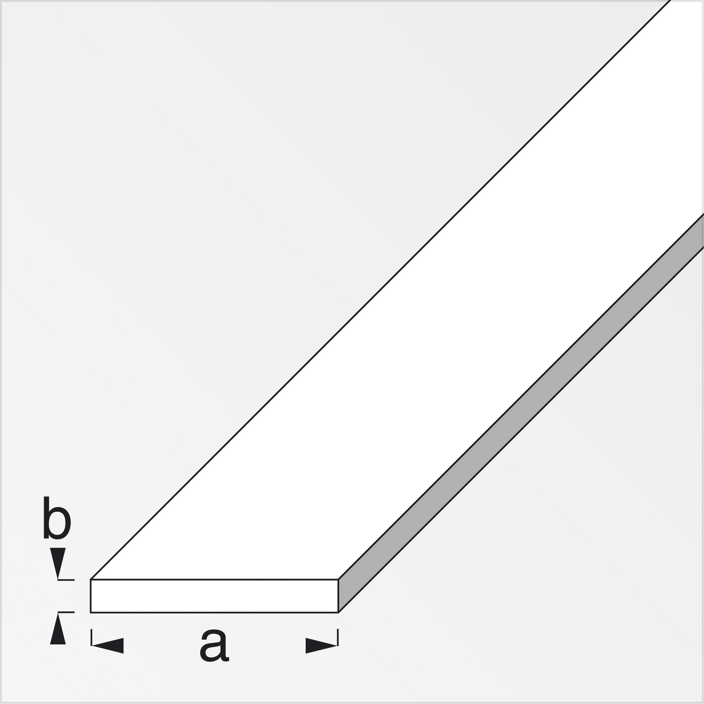 alfer® Flachstange Stahl kaltgewalzt, verzinkt 1 m, 23,5 × 1,2 mm