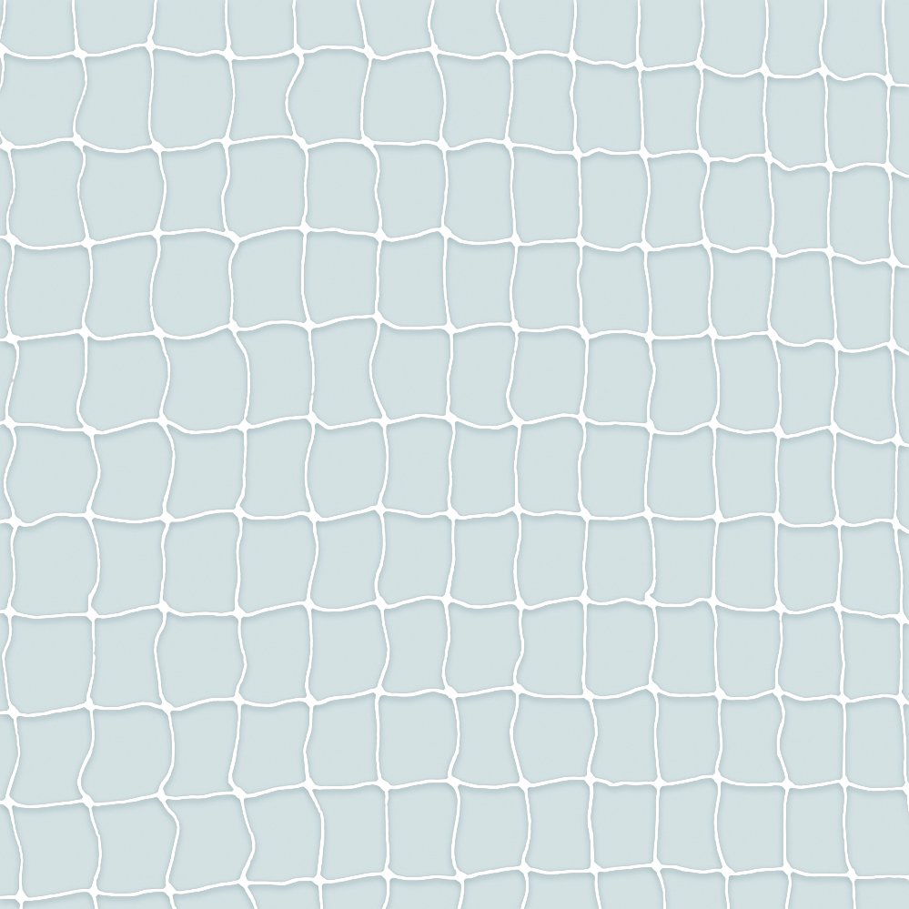 Trixie Schutznetz, 3 × 2 m, transparent