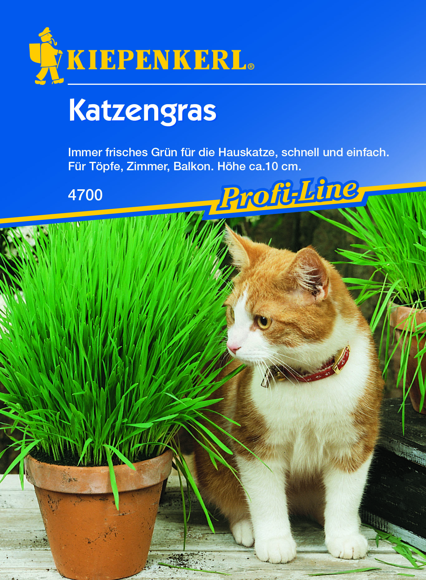Kiepenkerl® Profi-Line Katzengras