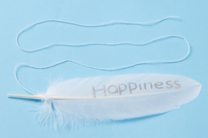 HobbyFun Federn "Happiness", ca. 17 cm, Weiß, 4 Stück