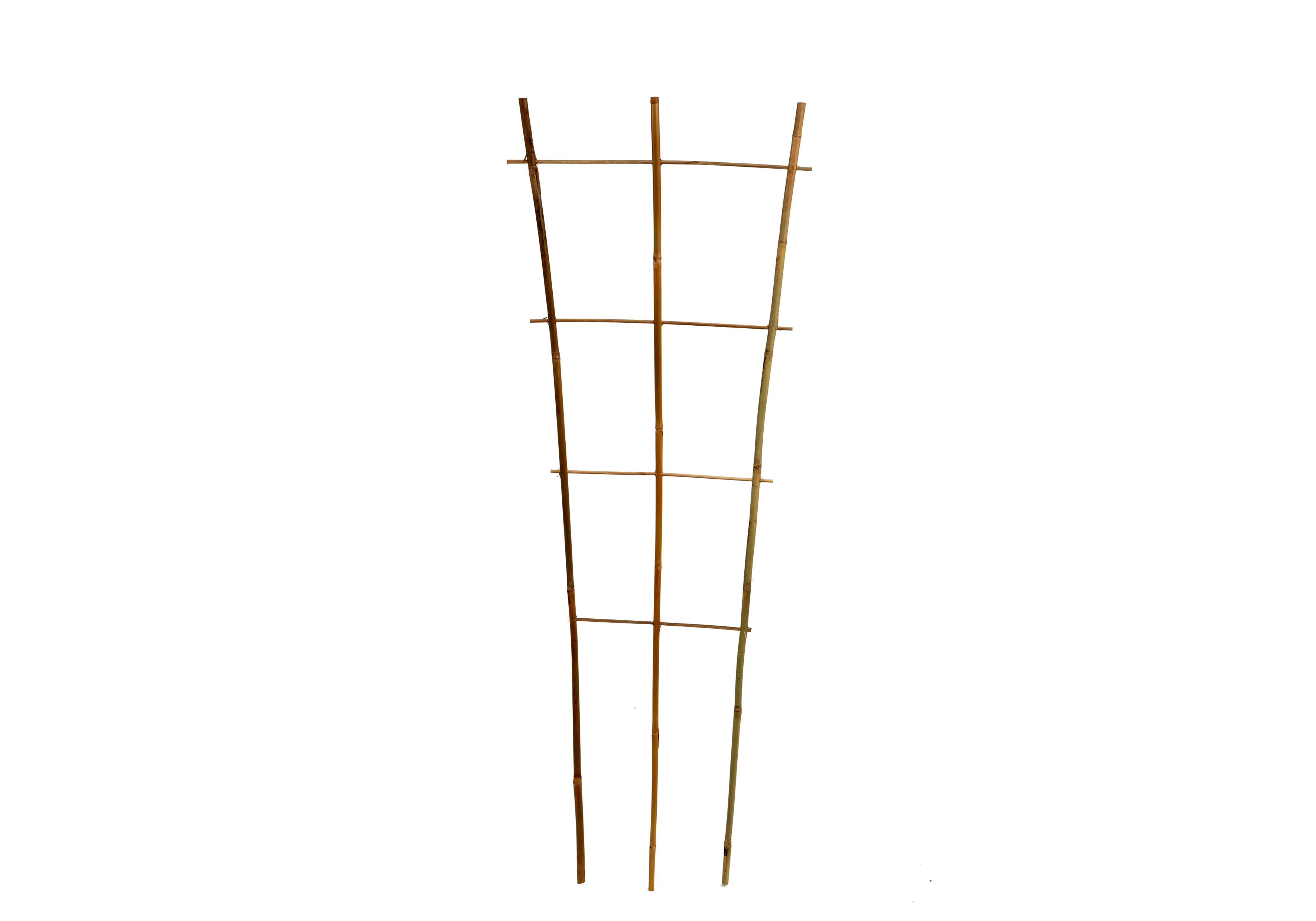 floraworld® Pflanzengitter Classic Bambus 43,5 x 110 cm