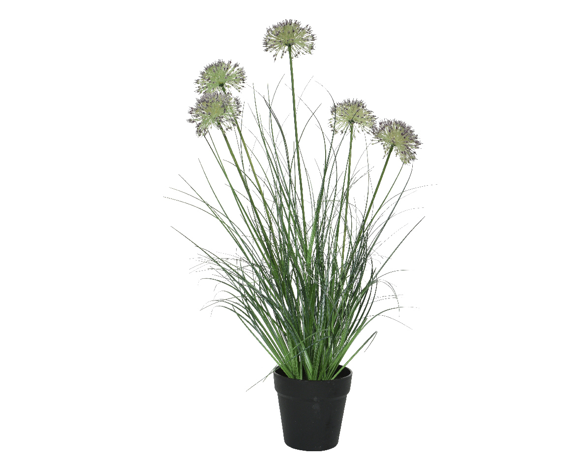 Kaemingk Kunstpflanze Allium im Topf, 74 cm