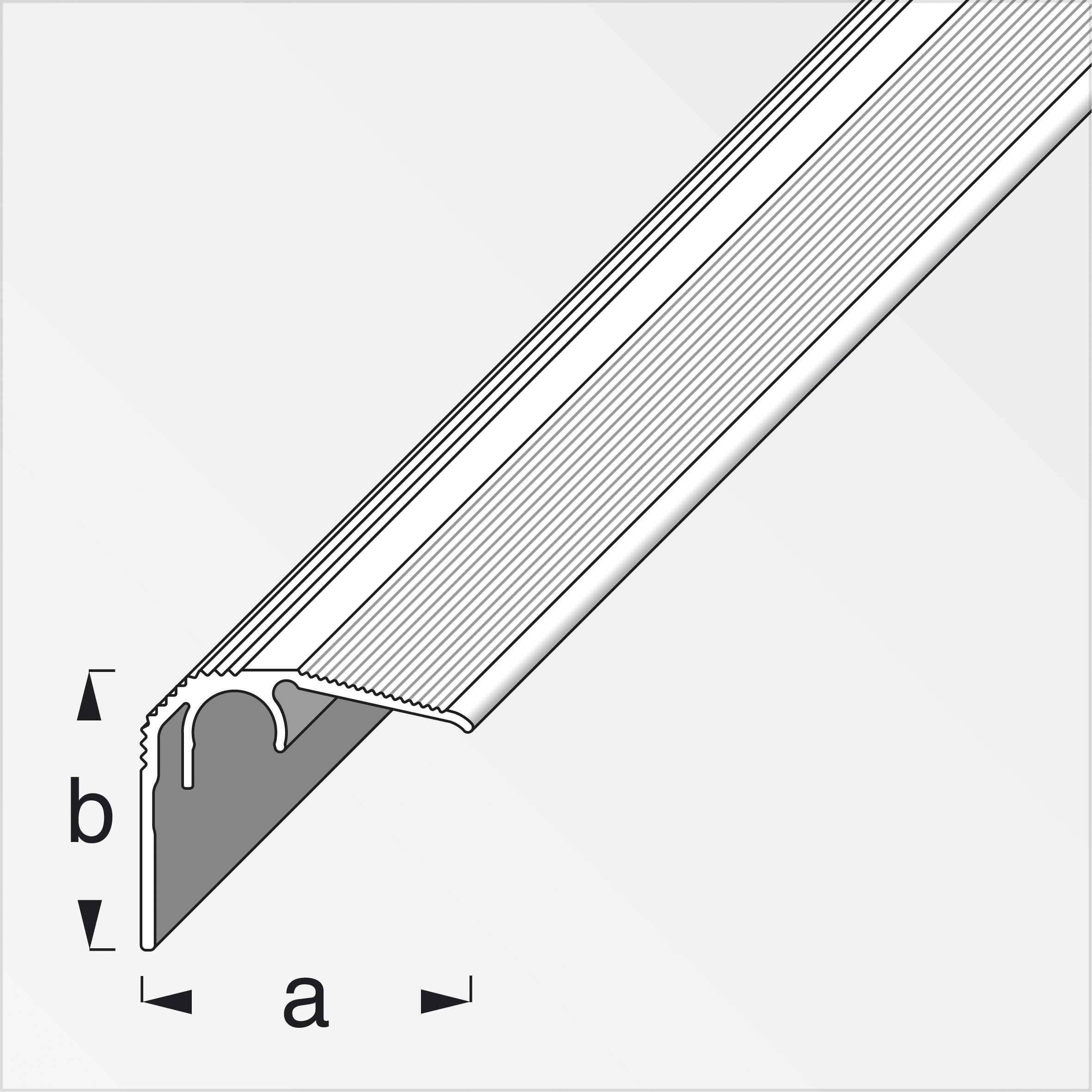 clipstech® Abschlussprofil Alu eloxiert, Silber 2 m, 32 × 27 mm