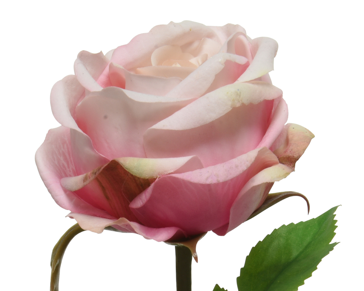 Kaemingk Kunstblume Rose, Hellrosa