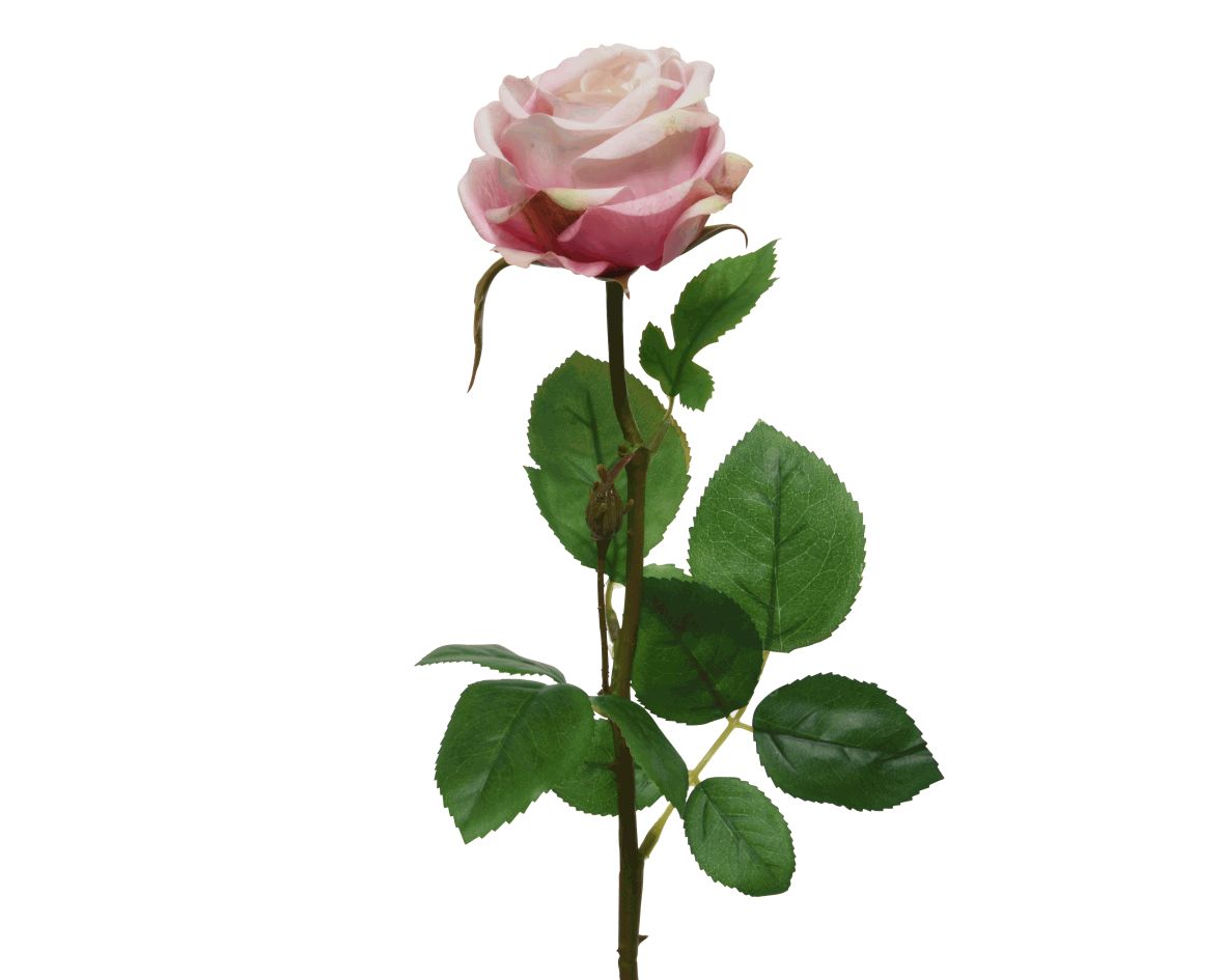 Kaemingk Kunstblume Rose, Hellrosa