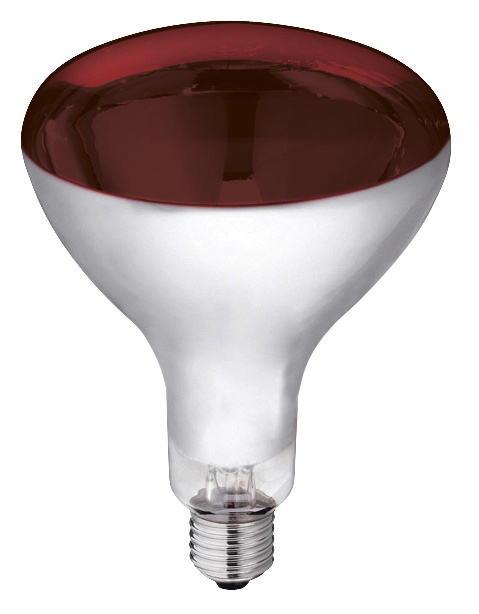 Kerbl Hartglas-Infrarotlampe 250 W, rot