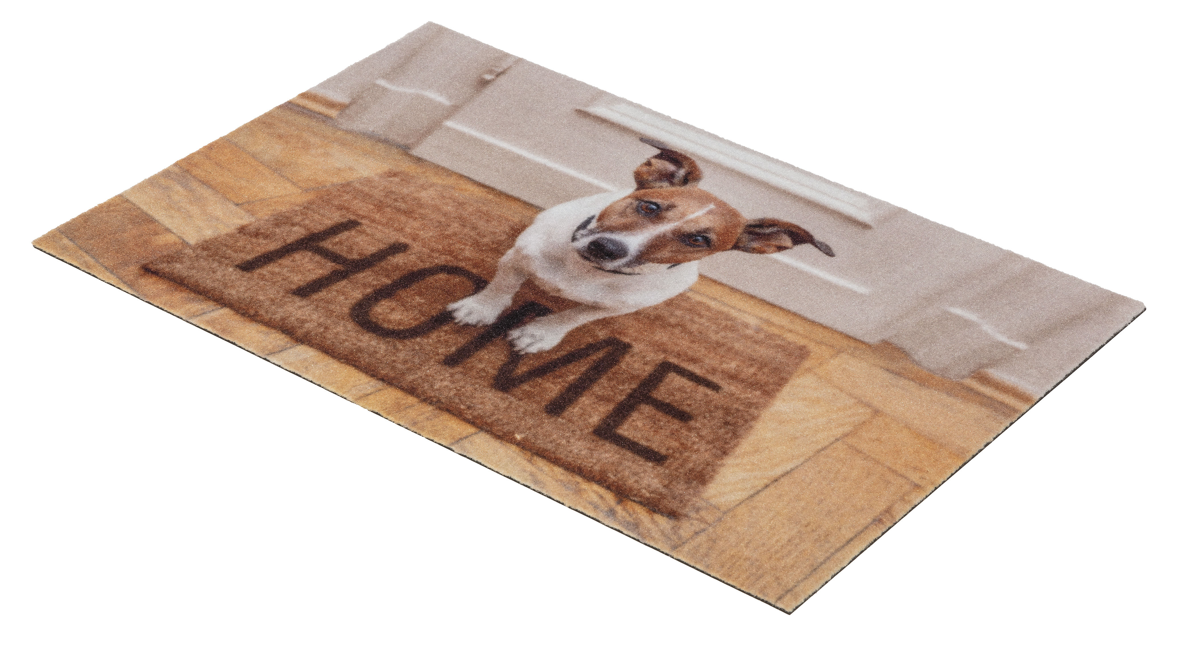 Astra Sauberlaufmatte Deco Print 40 × 60 cm, D.101 Motiv Hund/Home