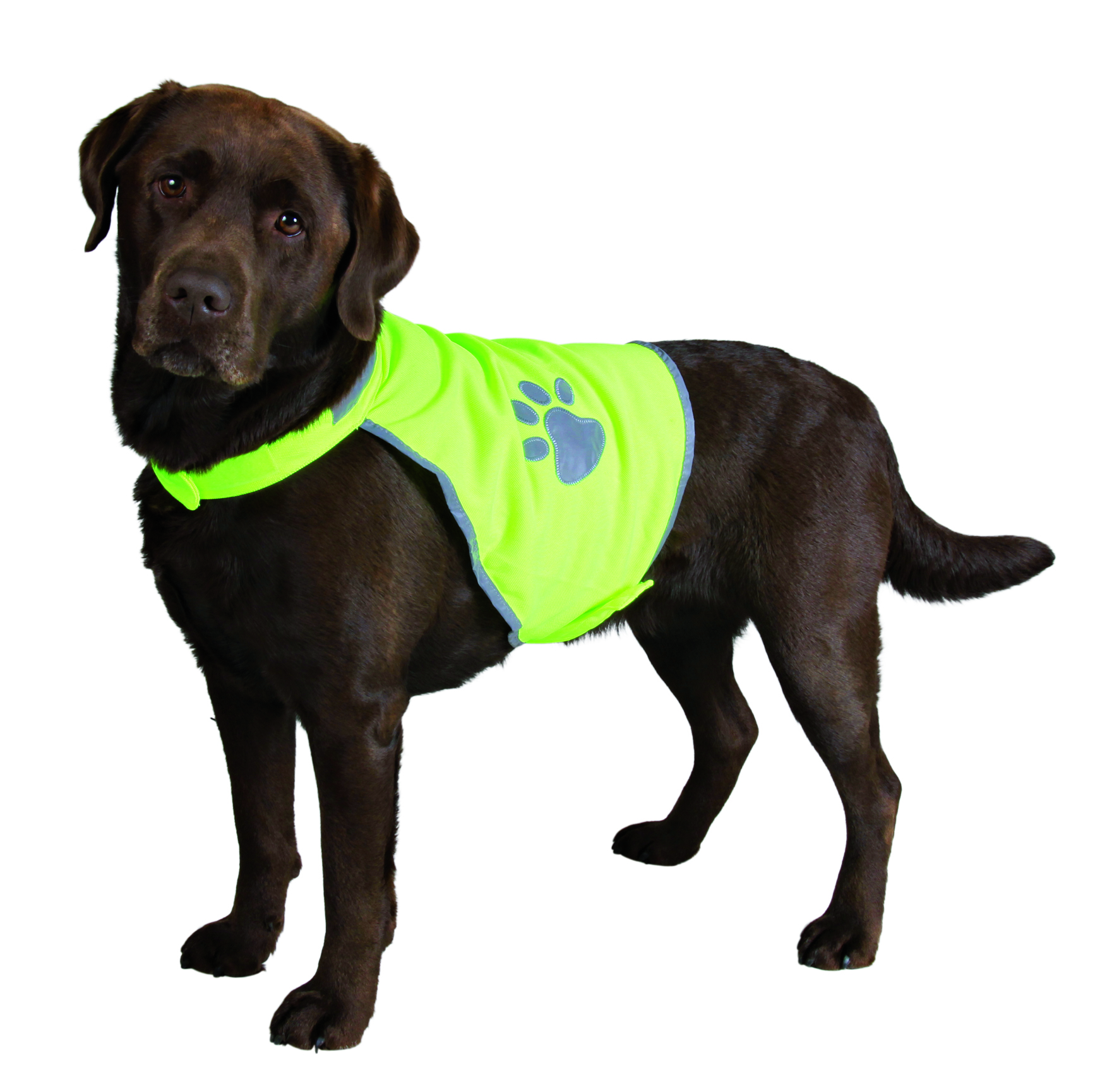 Trixie Sicherheitsweste für Hunde, reflektierend, S: 39–50 cm