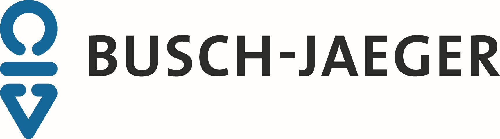Busch-Jaeger Rahmen 2-fach, Busch-Duro 2000 SI, 2512-212