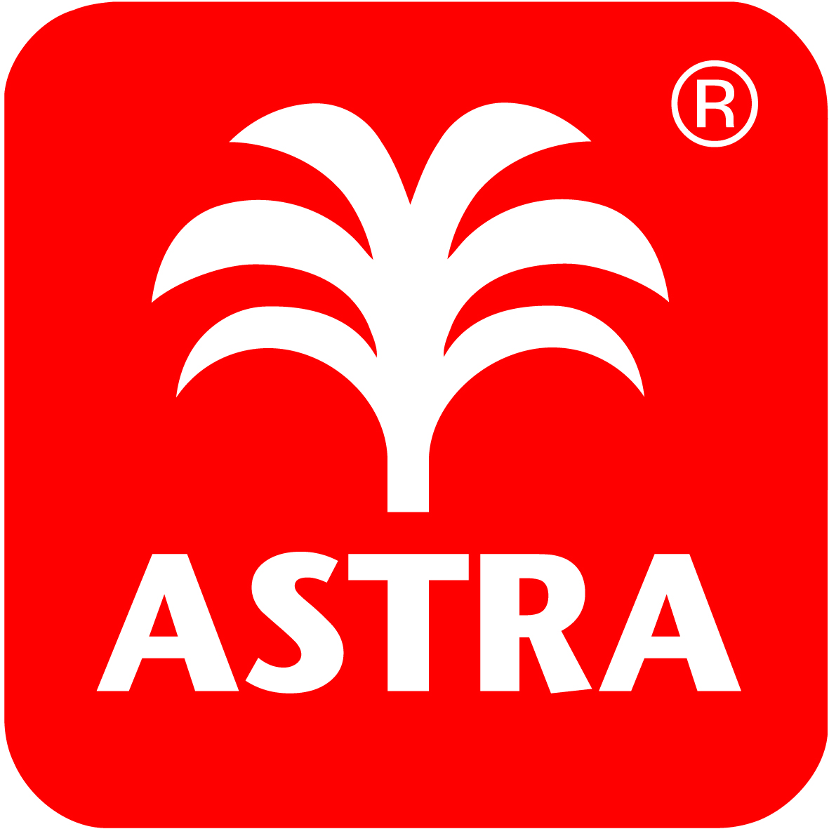 Astra Kokosmatte Coco Deluxe Light halbrund, 45 × 75 cm, D.01 Relief